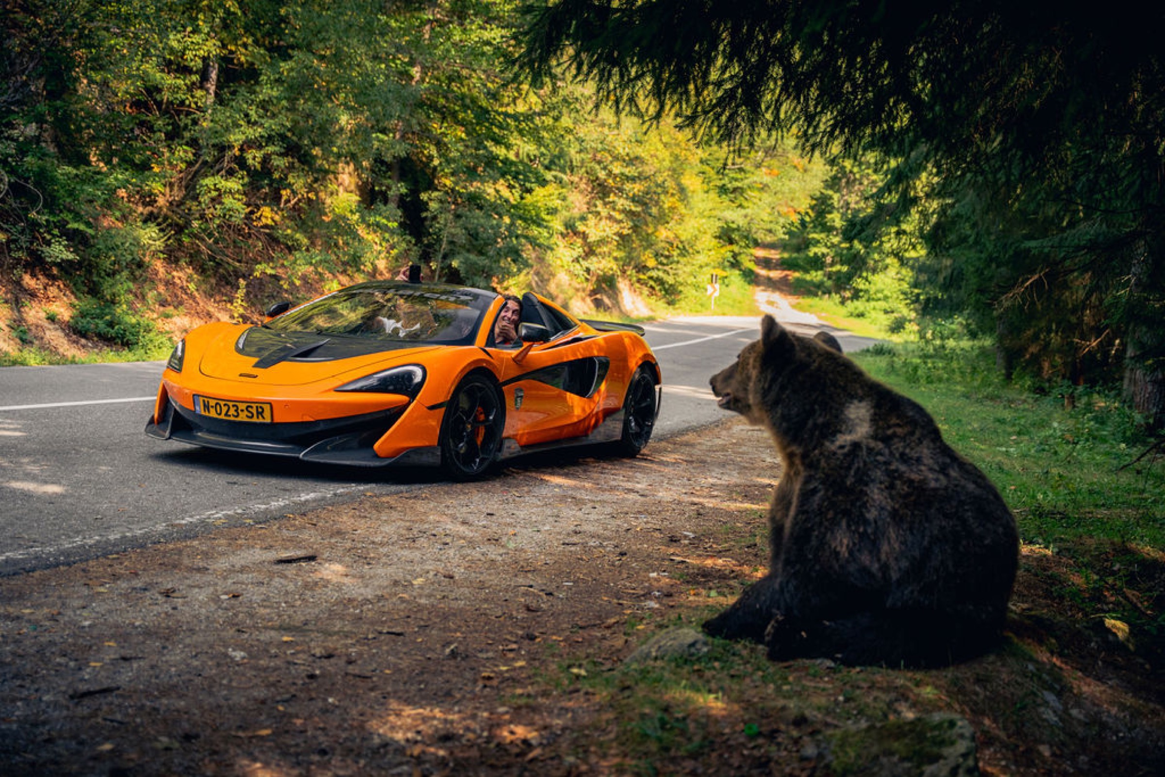Supercar op een bosweg in het ochtendlicht.